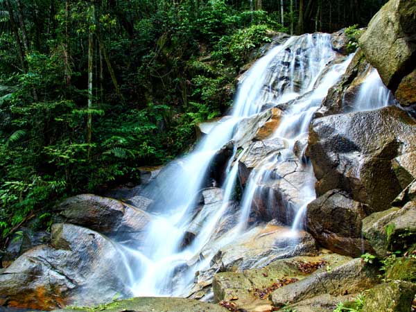 Fusce Rel Sassit Emetsem Agestas Vaoreet Deusit