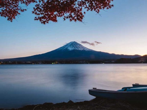 Sedin Guctus Feros, Vidultrices Eneque. Fusce