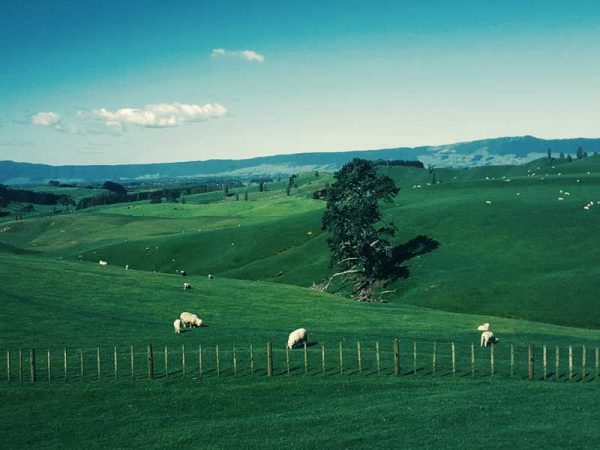 Kerajinan Dari Barang bekas